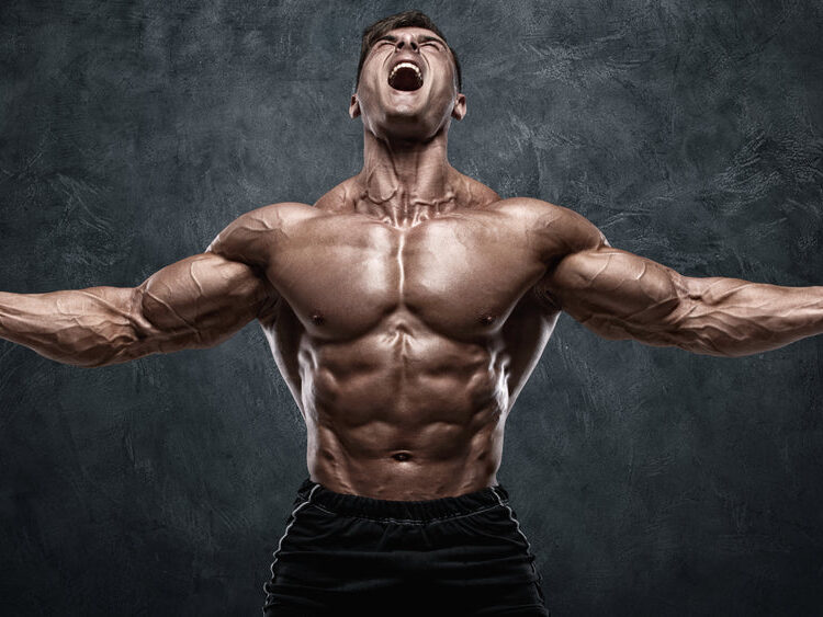 Mail Order Fitness Body Builder